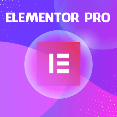 Elementor Pro new1