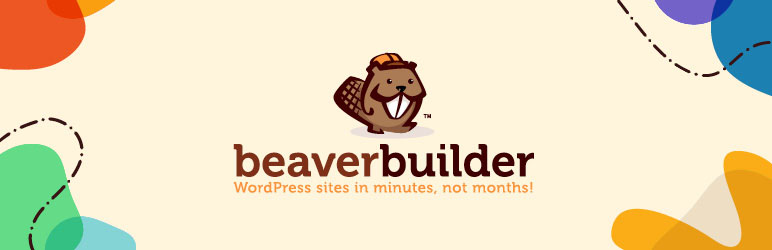 Beaver Builder Professional là gì
