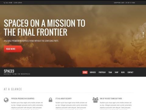 CSS Igniter Space9 WordPress Theme Những tính năng chính