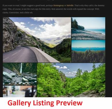Custom Gallery Listing Eclipse for Photographers