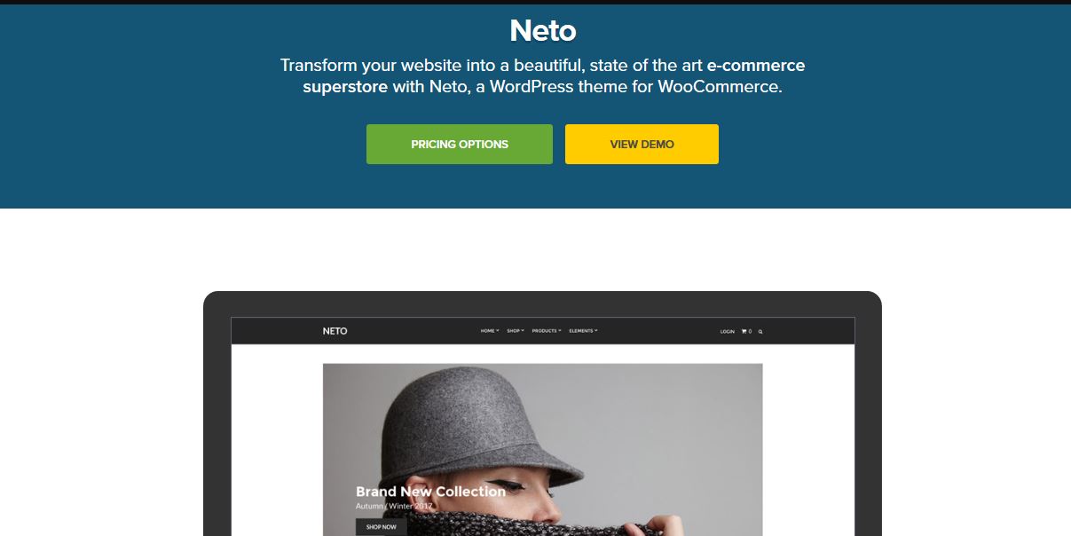Đánh giá CSS Igniter Neto WordPress Theme