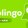 Tài khoản Duolingo giá rẻ