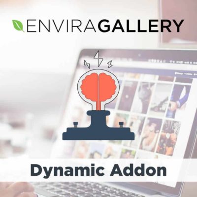 Envira Gallery Dynamic Addon