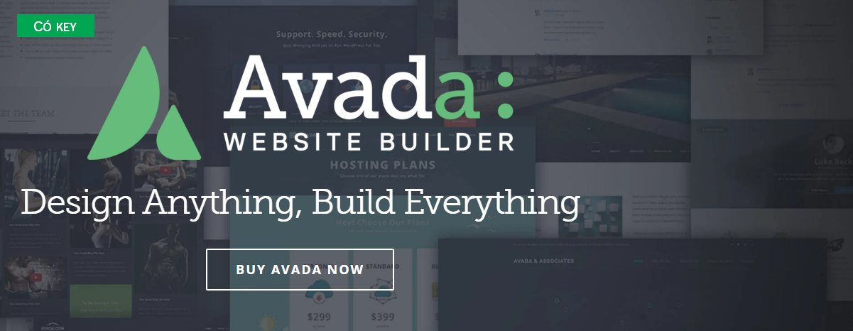 Giới thiệu về chủ đề Avada 