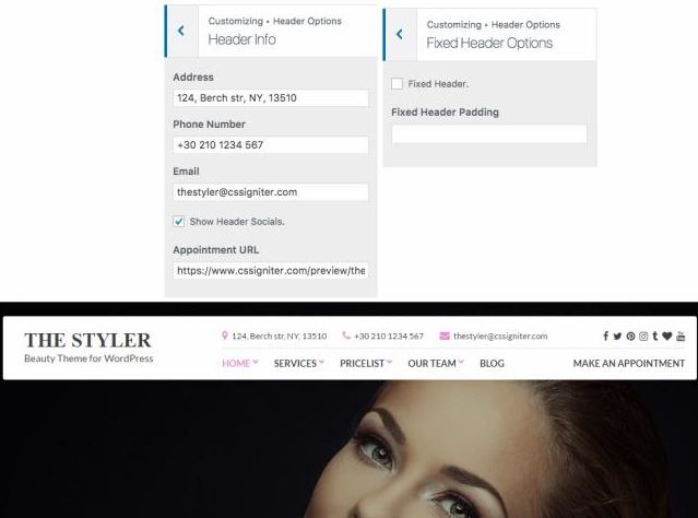 Header And Customizer - Styler Business Theme