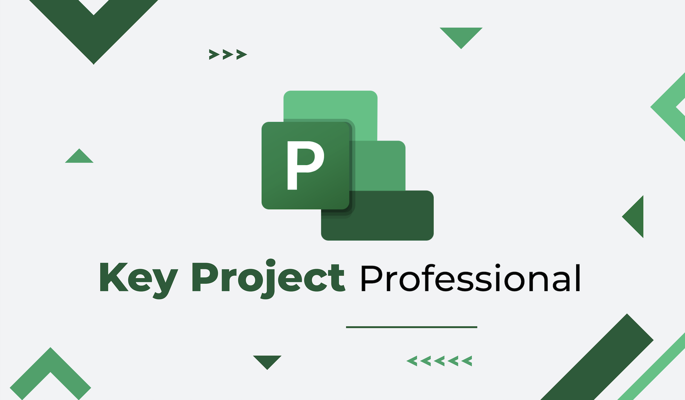 Tổng quan về Key Project Professional