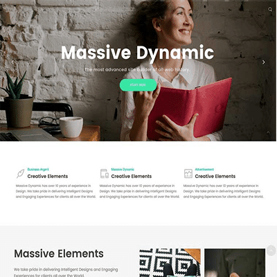 Massive Dynamic – WordPress Website Builder