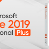 Microsoft Office 2019 Professional Plus for Windows 59242