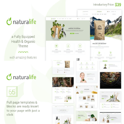 NaturaLife Health & Organic WordPress Theme
