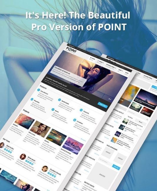 PointPro MyThemeShop Các tính năng chính