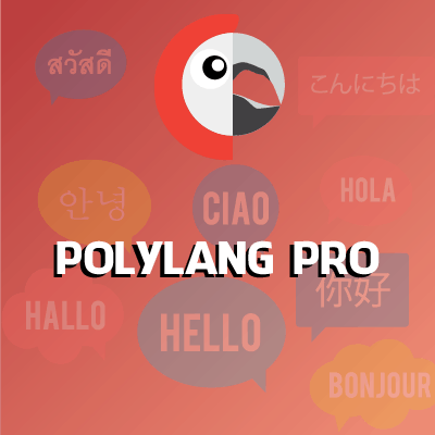 Polylang Pro new