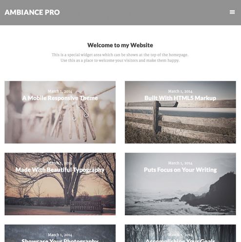 Tại sao bạn nên chọn Ambiance Pro Genesis WordPress Theme
