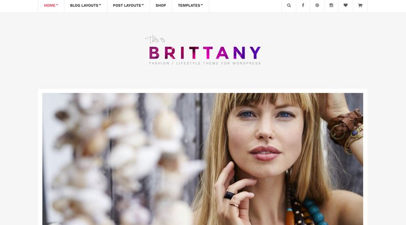 Tại sao bạn nên chọn Brittany WordPress Theme