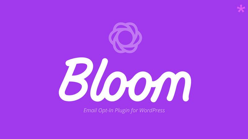 Tại sao sử dụng Plugin Bloom