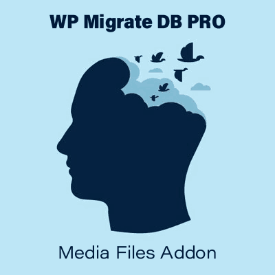WP Migrate DB PRO – Media Files Addon