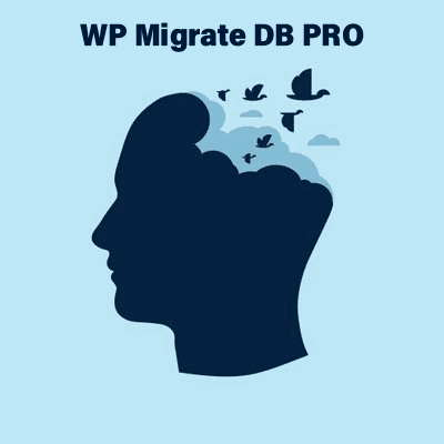 WP Migrate DB PRO