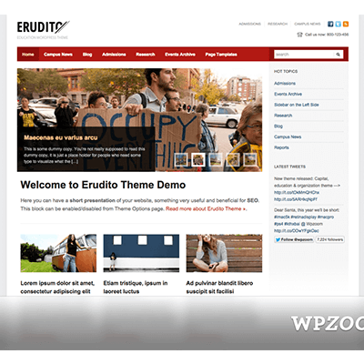 WPZoom Erudito WordPress Theme