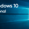 Windows 10 Professional 24242