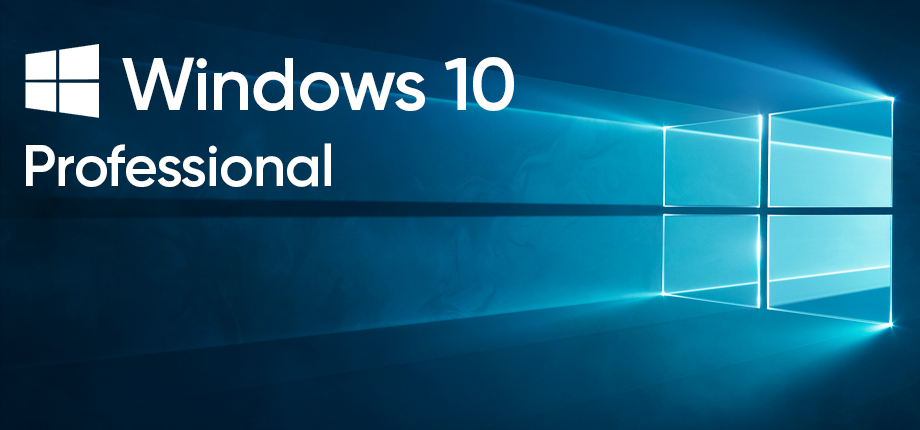 Windows 10 Professional 24242