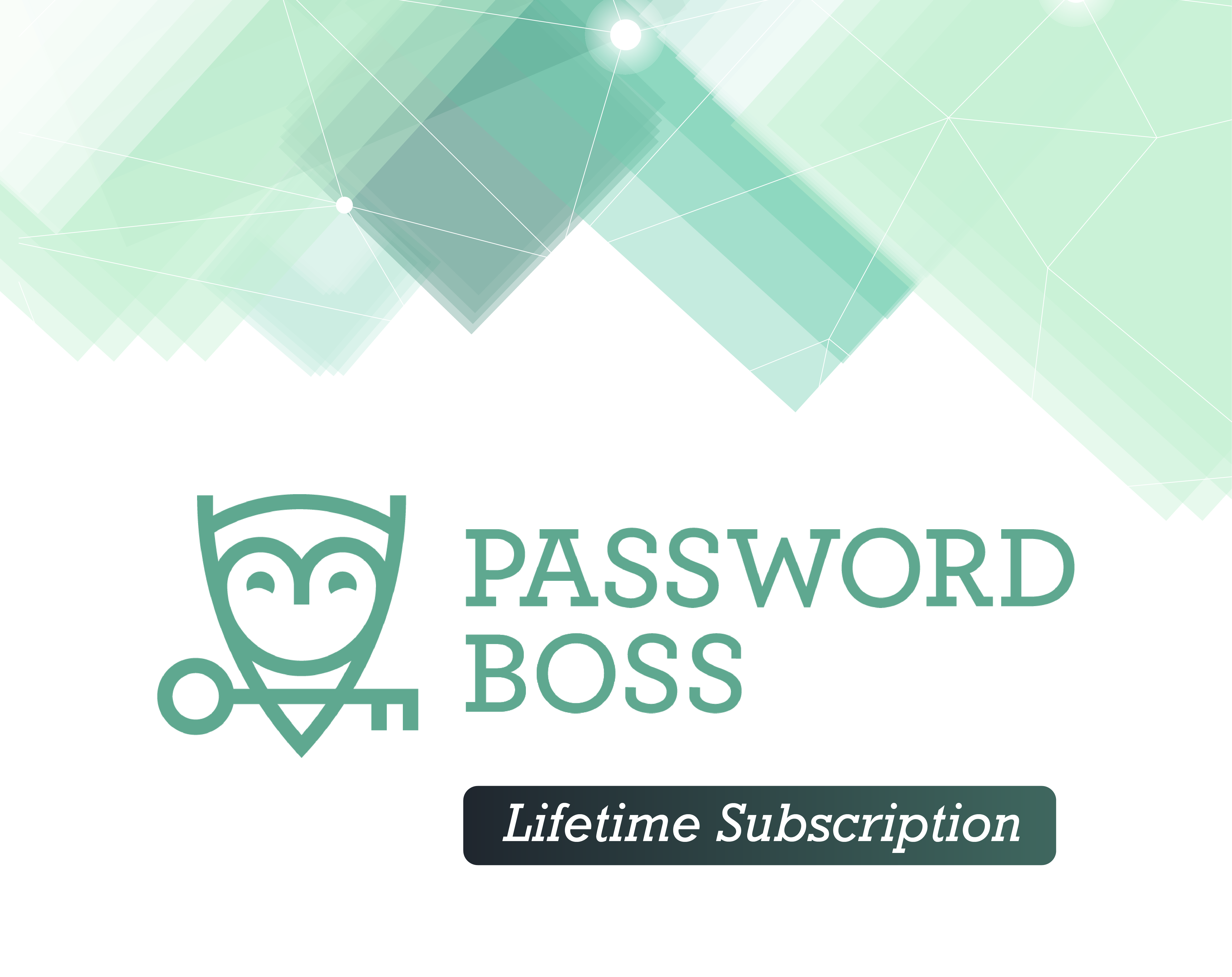 passwordbossArtboard 21