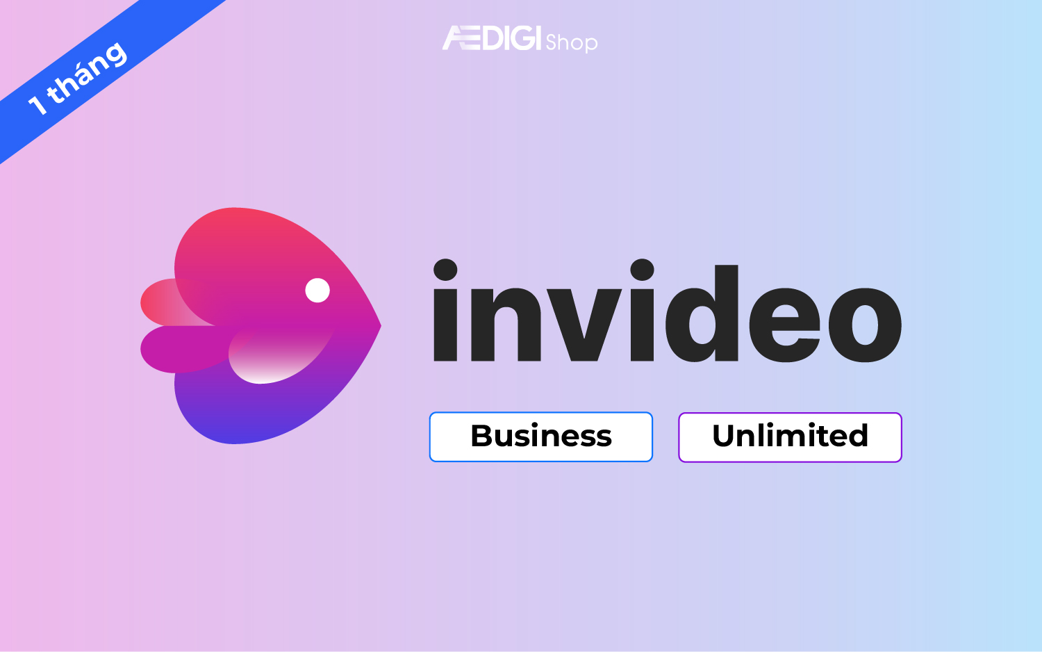 Tài khoản Invideo