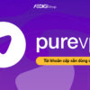 tai khoan pure vpn