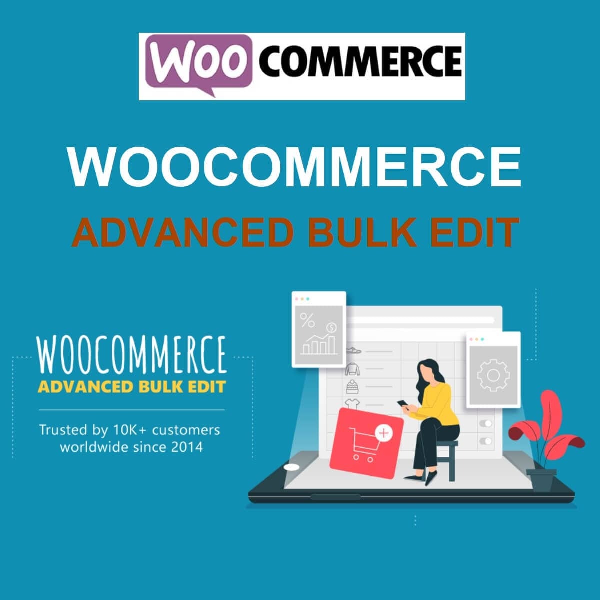 woocommerce advanced bulk edit